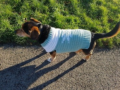 Roundup: 10 Free Crochet Dog Sweater Patterns - CrochetKim™
